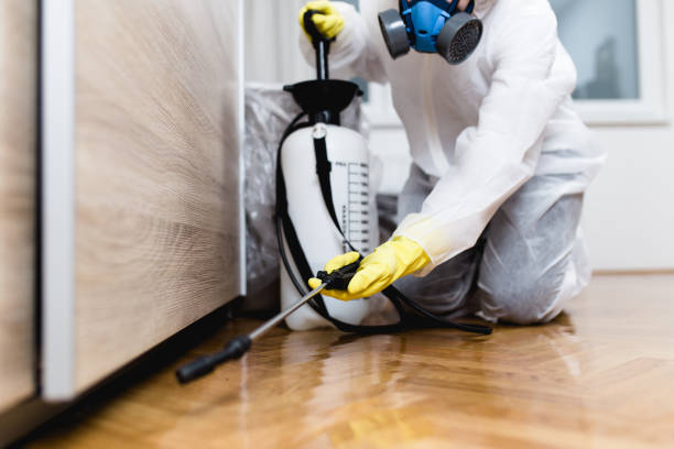 Best Exterminator Services  in Rainbow Park, FL