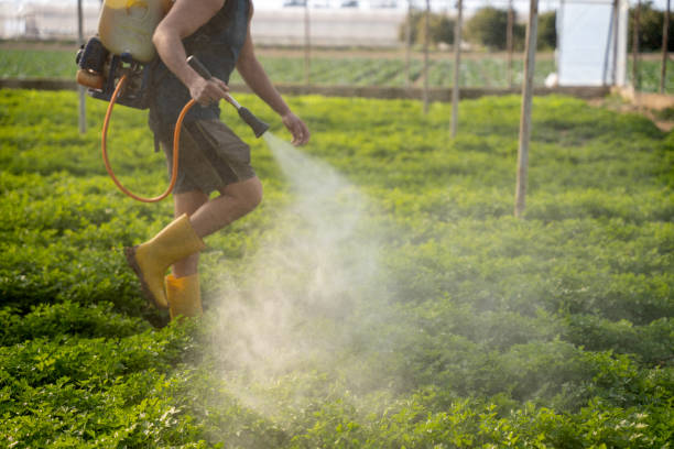 Pest Prevention Services in Rainbow Park, FL