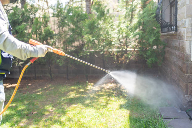 Best Best Pest Control Companies  in Rainbow Park, FL