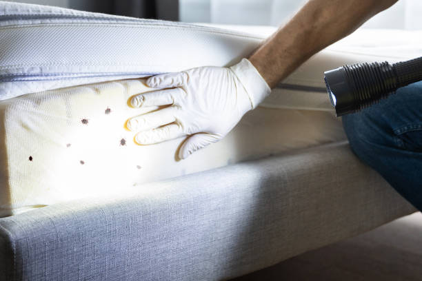 Best Residential Pest Control  in Rainbow Park, FL