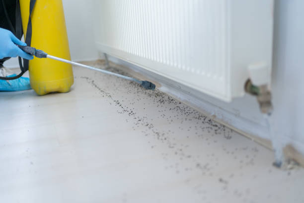 Best Pest Control for Restaurants  in Rainbow Park, FL