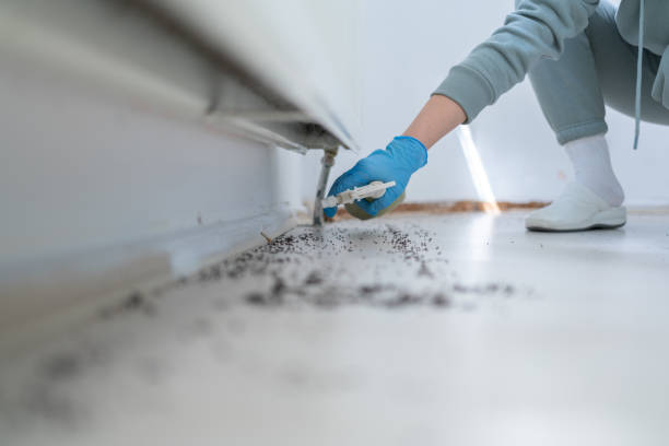Professional Pest Control in Rainbow Park, FL